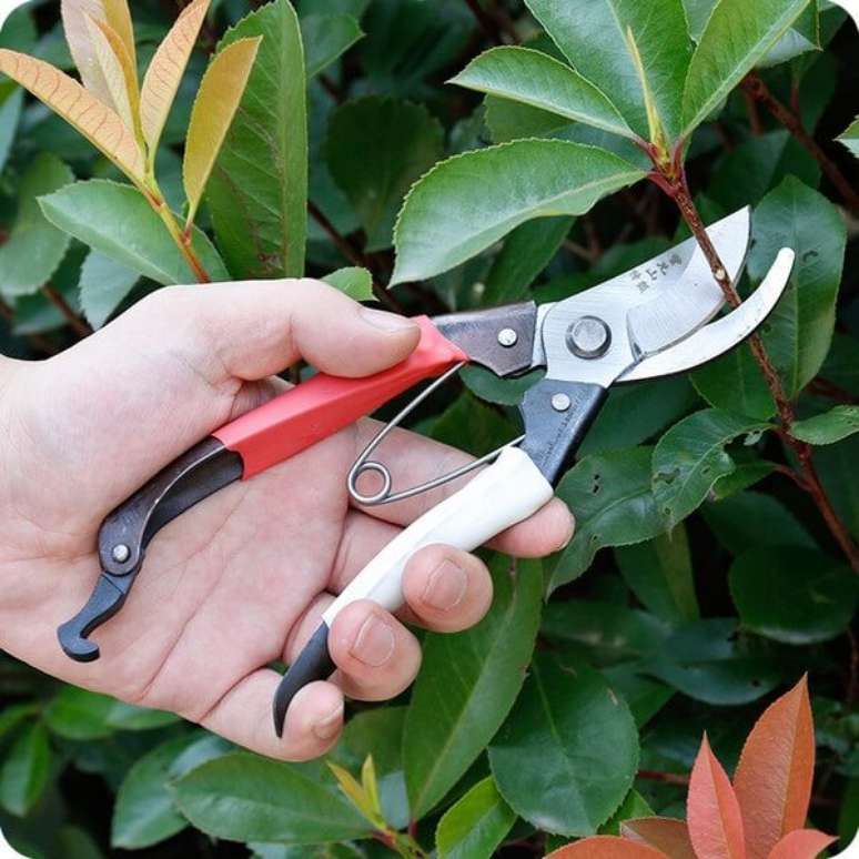 37- Modelo de tesoura de poda profissional para a jardinagem. Fonte: Pinterest