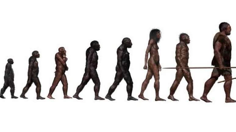 A história da evolução humana está se tornando mais complexa do que esta imagem indica