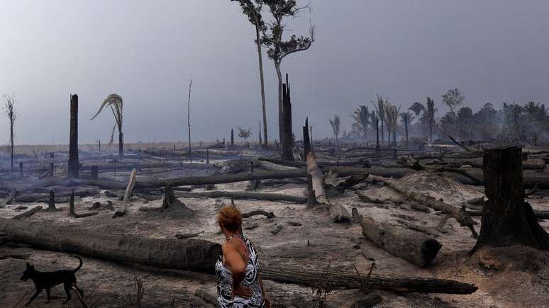 Congresso analisa medida provisória que pode aumentar o desmatamento na floresta amazônica