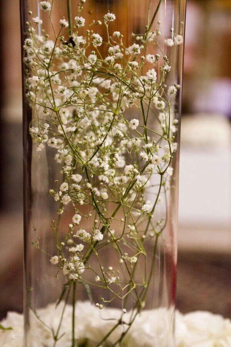 53. As flores mosquitinho foram colocadas dentro do pote de vidro. Fonte: Lejour