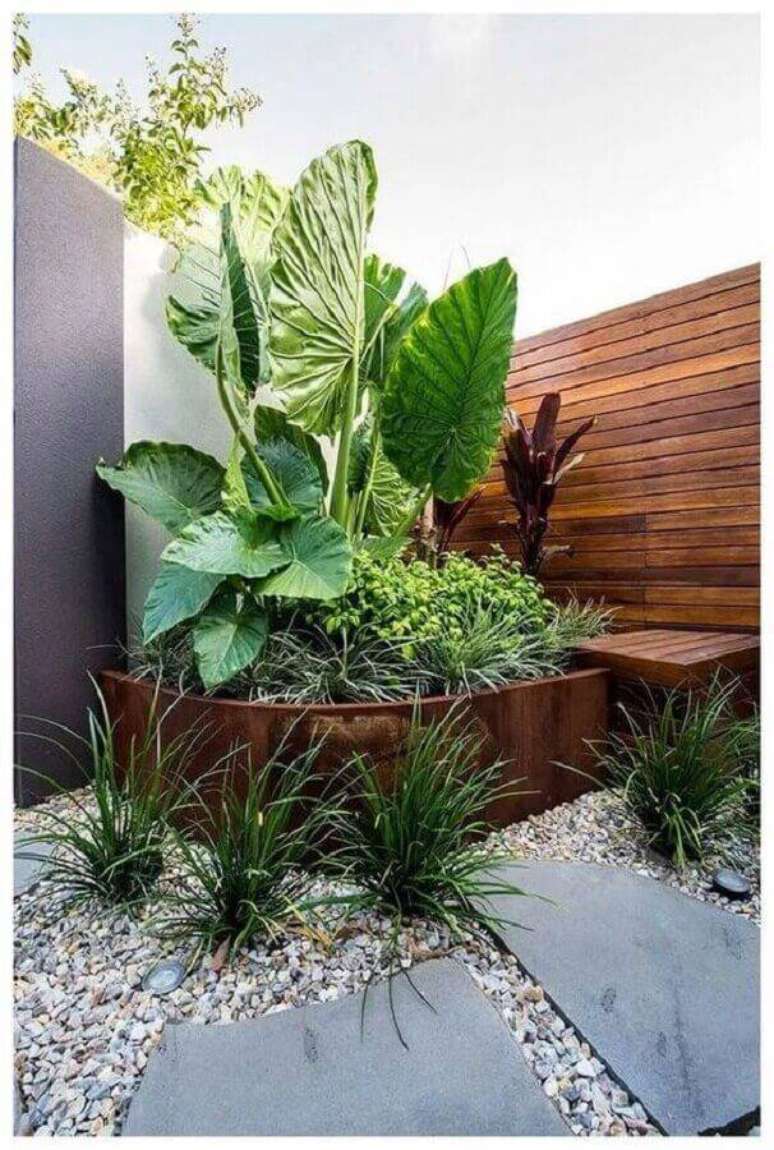 plantas grandes para jardim residencial com pedras Foto Pinterest