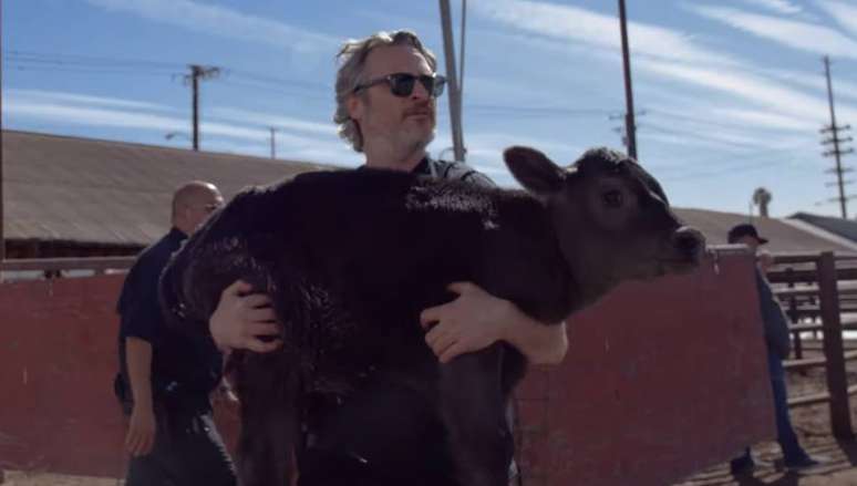 O ator Joaquin Phoenix durante ação de resgate de animais