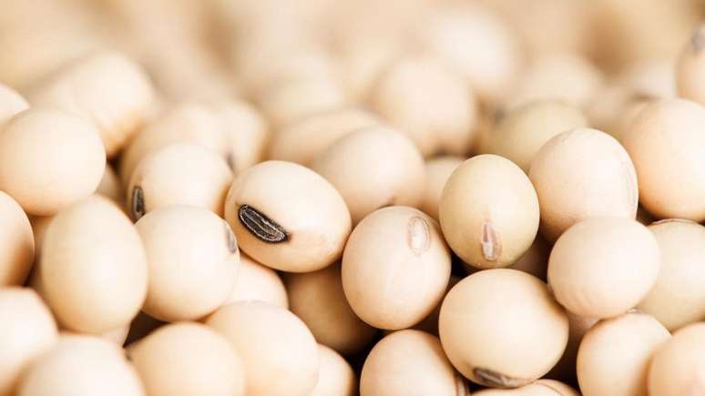 Vegetarianos n&atilde;o custumam ter defici&ecirc;ncia de prote&iacute;na porque muitos alimentos &agrave; base de plantas cont&ecirc;m o nutriente