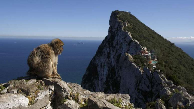 Finlayson diz que os penhascos íngremes de Gibraltar ajudaram a preservar os restos mortais dos neandertais