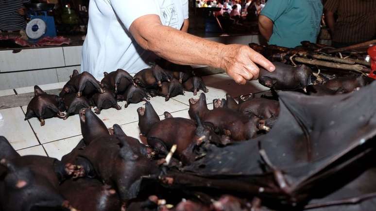 Morcegos são vendidos em mercado indonésio