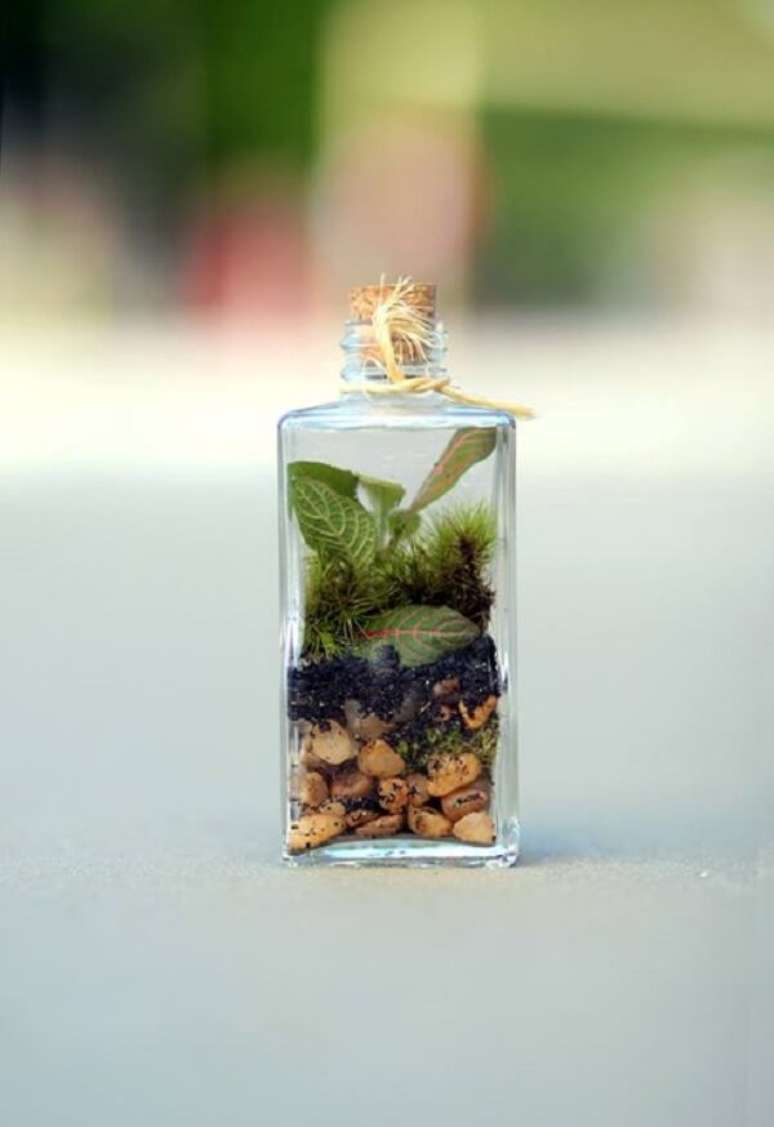 16. Modelo de mini cachepot de vidro para plantas. Fonte: Gaia Ateliê da Natureza