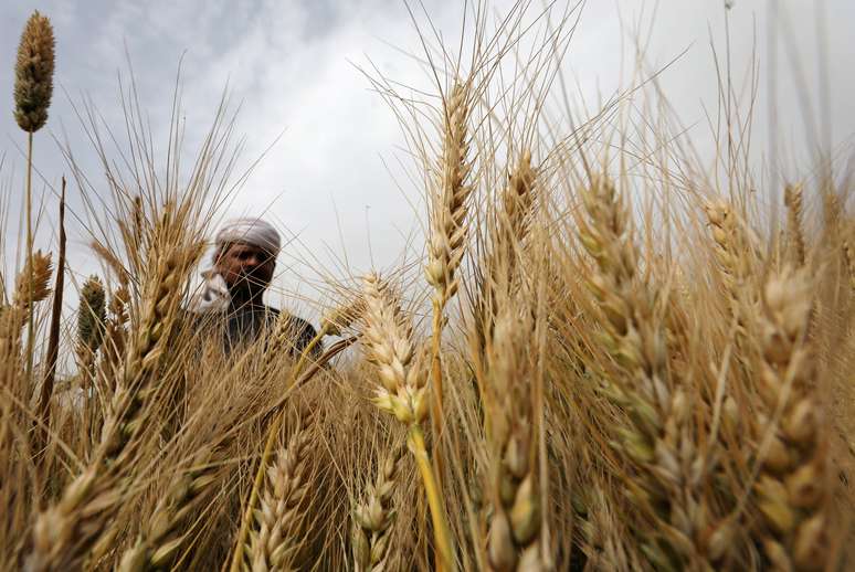 Agricultor colhe trigo em um campo na província de El-Menoufia, ao norte do Cairo, Egito
01/05/2019
REUTERS/Mohamed Abd El Ghany