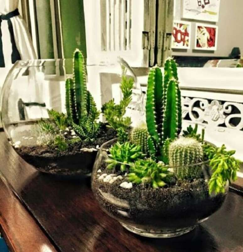 32. Cactos e suculentas formam um lindo terrário no ambiente. Fonte: Artesanato do Amor