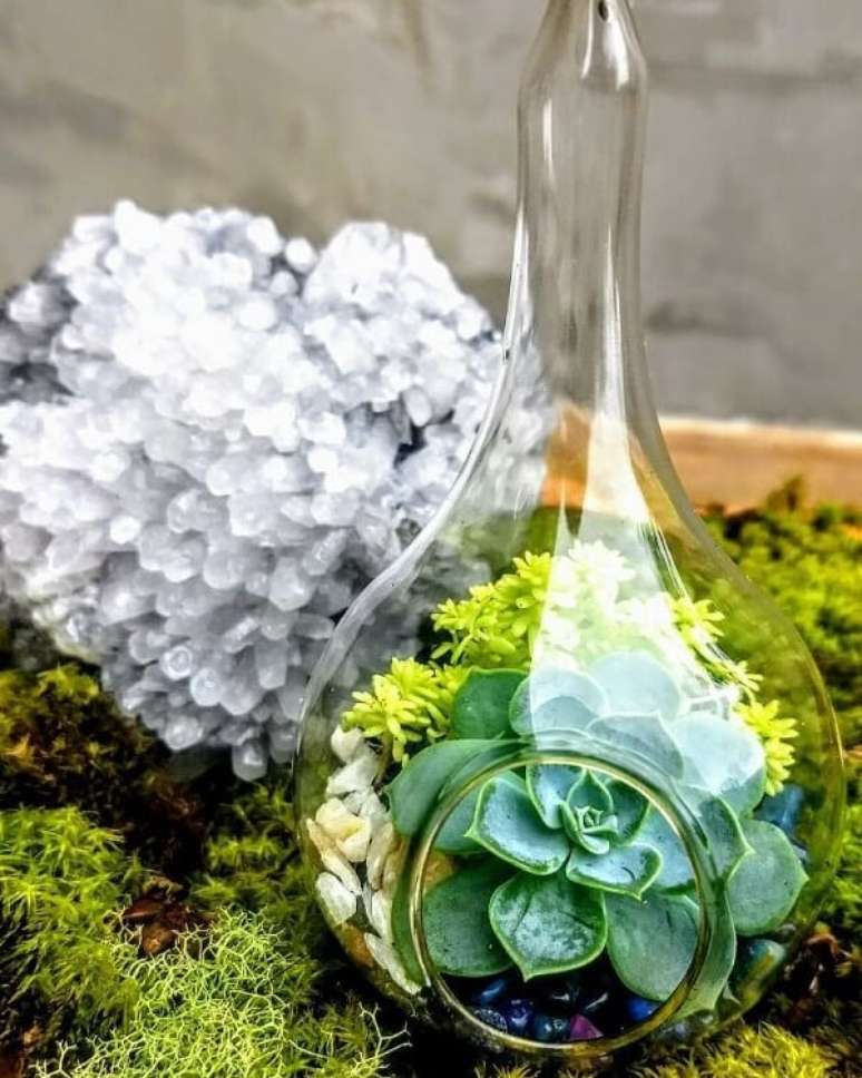 21. Cultive suculentas dentro do cachepot de vidro. Fonte: Pinterest