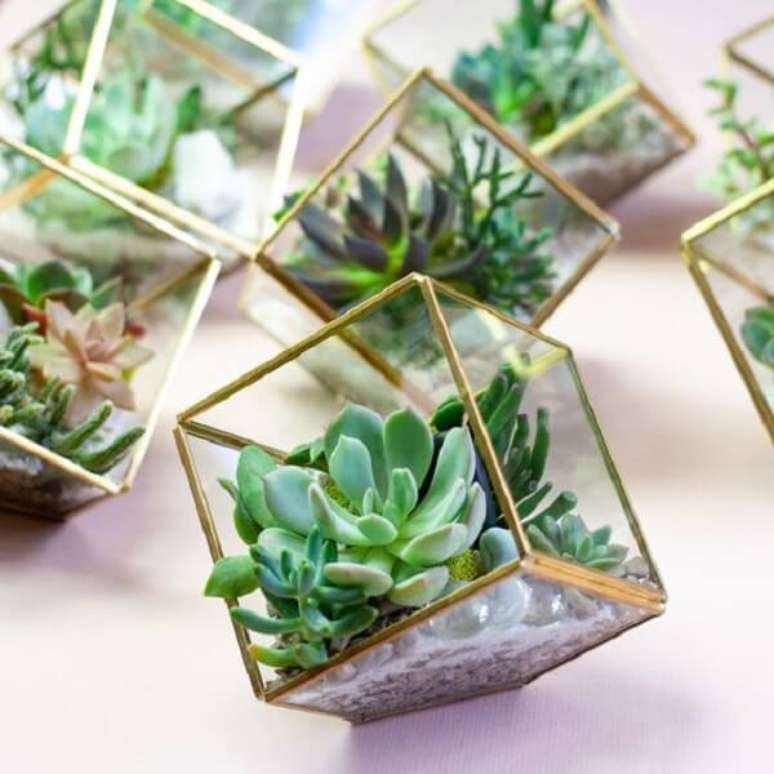 39. Recipiente de vidro em formato de cubo para cultivo de suculentas. Fonte: Pinterest