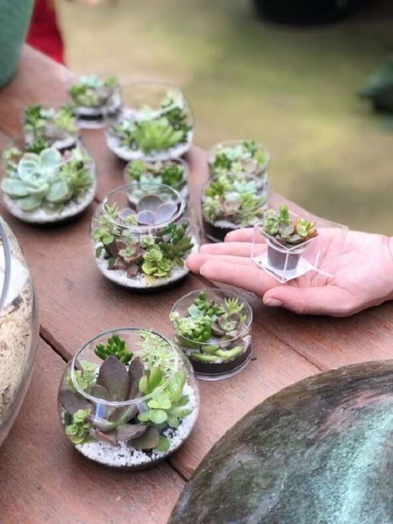 42. Cultive diferentes tipos de suculentas dentro dos recipientes de vidro. Fonte: Pinterest