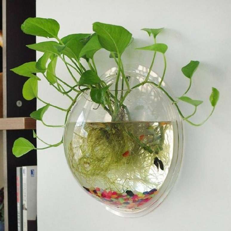 48. Cultive um jardim aquático com peixes dentro do recipiente de vidro. Fonte: Pinterest