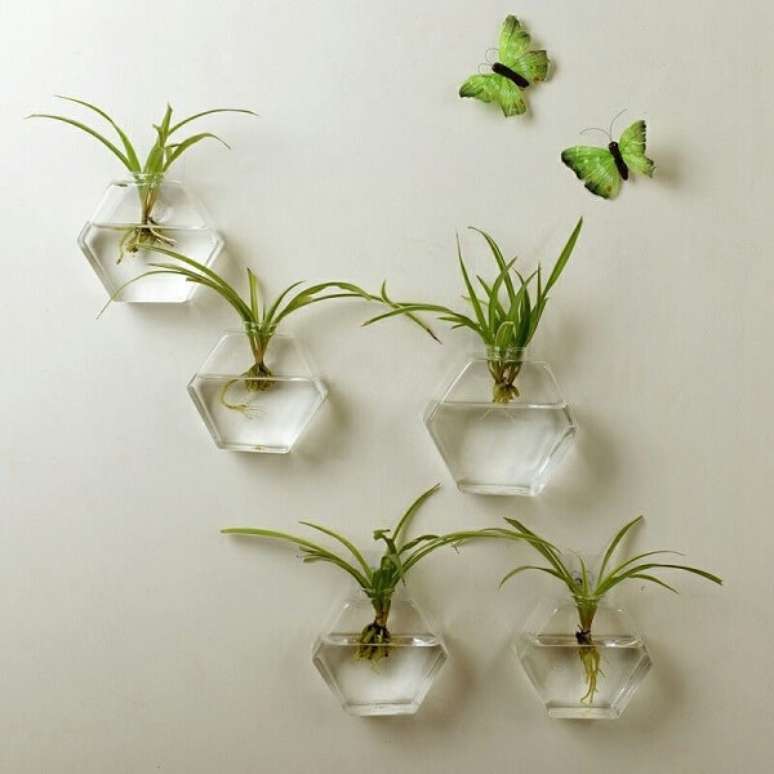 54. Fixe o recipiente de vidro com plantas na parede. Fonte: AliExpress