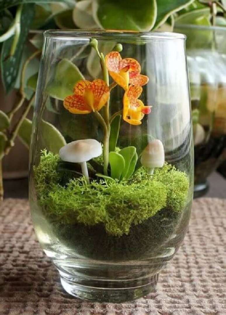 56. Mini orquídea cultivada dentro do recipiente de vidro. Fonte: Pinterest