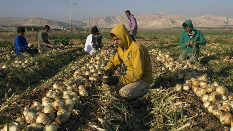 O fértil Vale do Jordão ocupa um quarto do território da Cisjordânia