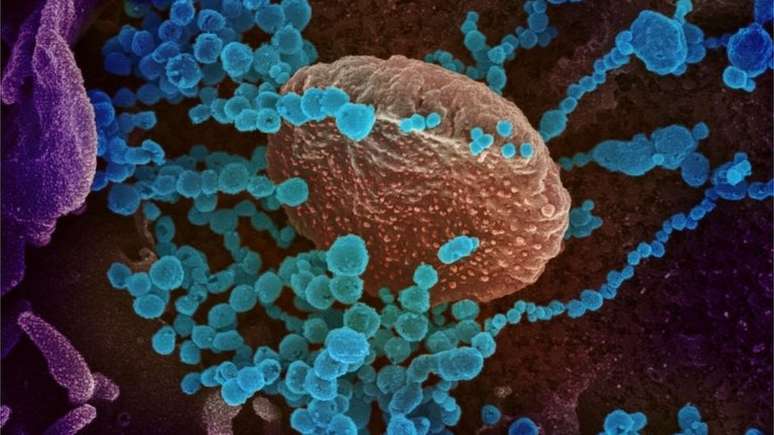 O novo coronavírus (em azul) vem se espalhando rapidamente, mas tem uma taxa de mortalidade baixa