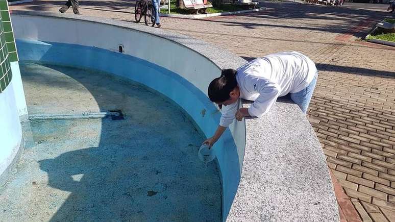 A Vigilância Epidemiológica soltou guarus em fonte luminosa da praça central de Dracena, interior de São Paulo. O peixinho consome as larvas do Aedes aegypti