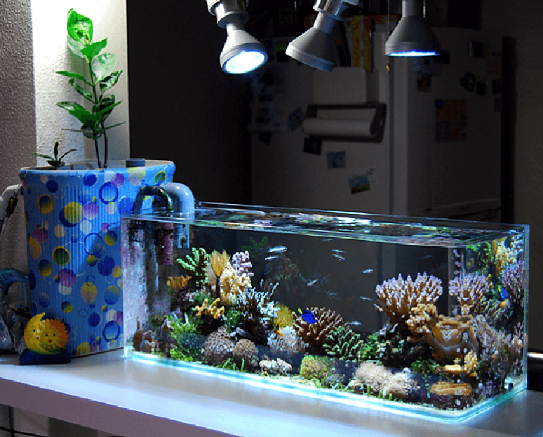 22. A iluminação artificial pode ajudar na manutenção das plantas para aquário. Fonte: Pinterest