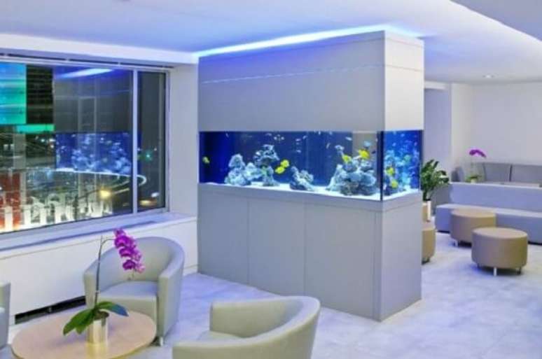37. As plantas para aquário podem integrar perfeitamente a decoração da sala de estar. Fonte: Casa Para Viver