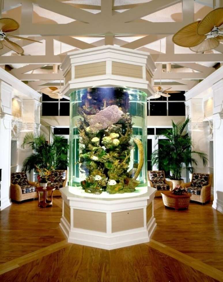 38. As plantas para aquário são o ponto central na decoração desse ambiente. Fonte: Pinterest
