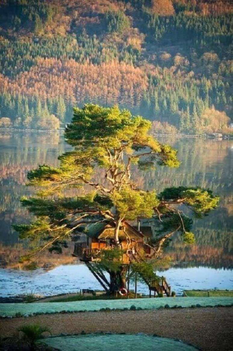 19. A casa na &aacute;rvore deixou a paisagem do local ainda mais linda. Fonte: Pinterest