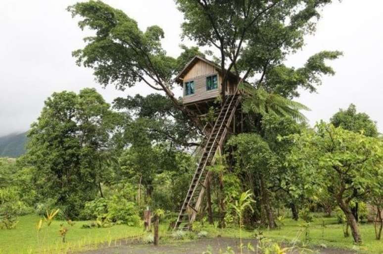 30. A escada de madeira d&aacute; acesso a casa na &aacute;rvore. Fonte Istock