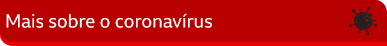 Mais sobre o coronav&iacute;rus