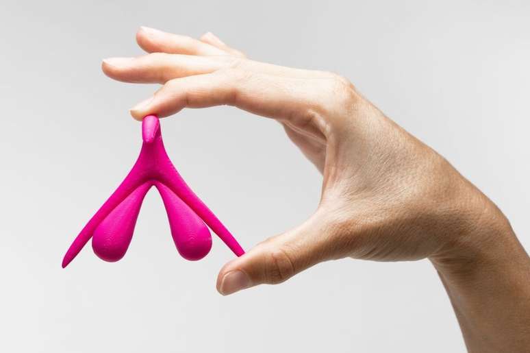 A sex&oacute;loga Laura Mor&aacute;n diz que muitos se surpreendem ao saber que essa imagem &eacute; a reprodu&ccedil;&atilde;o de um clit&oacute;ris