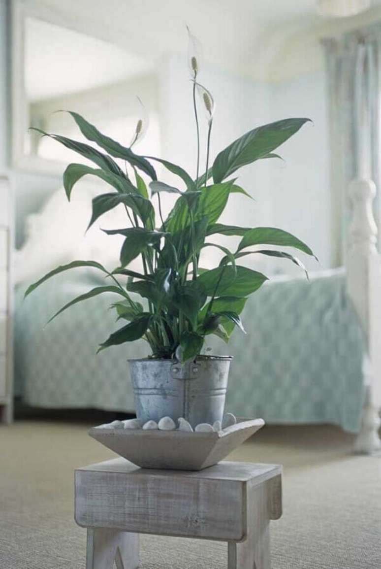 19- Na decora&ccedil;&atilde;o do quarto de casal, o L&iacute;rio da paz foi plantado em um balde r&uacute;stico de alum&iacute;nio. Fonte: Pinterest