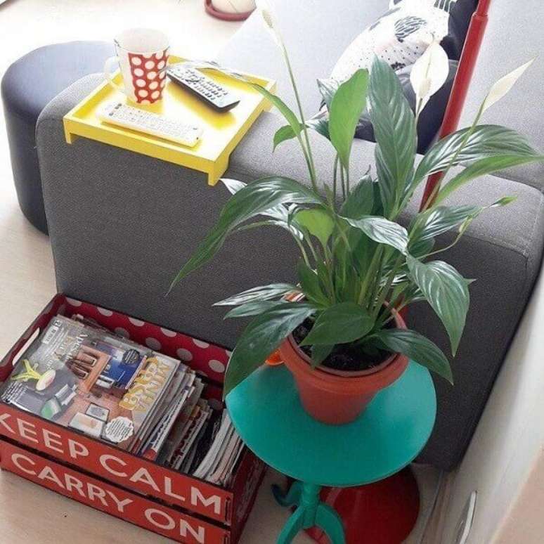 12- O vaso de L&iacute;rio da Paz foi acomodado em um cachepot cer&acirc;mico. Fonte: B&aacute;rbara Montes