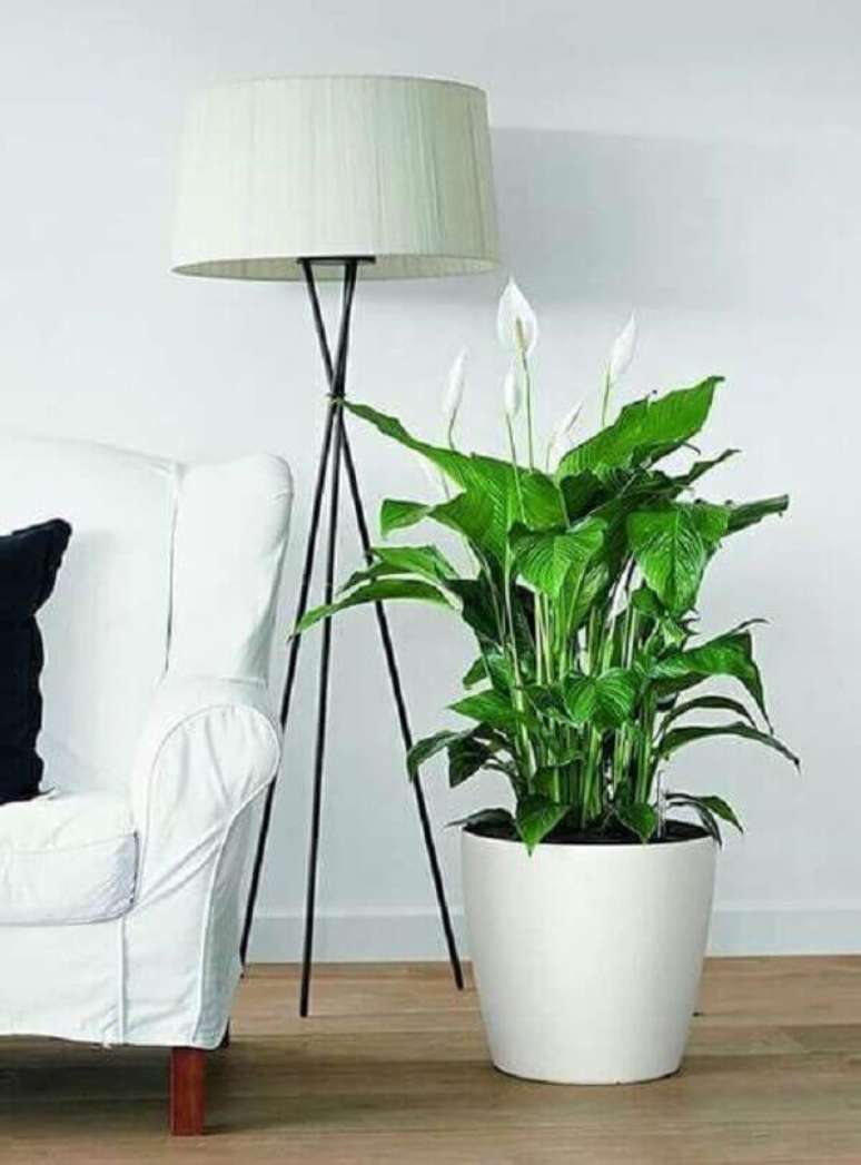 51- Na decora&ccedil;&atilde;o na cor branca, o vaso cer&acirc;mico tem L&iacute;rio da Paz gigante plantado. Fonte: Pinterest