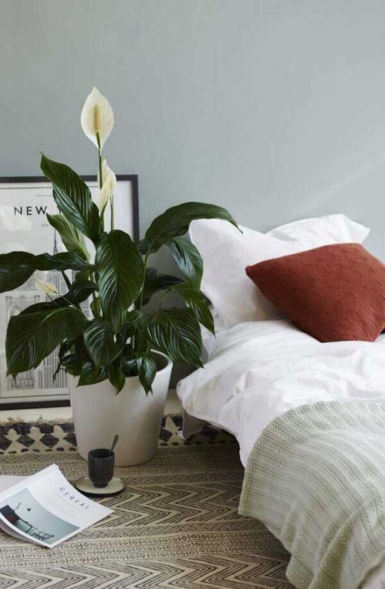 44- O Lírio da Paz decora o quarto moderno de solteiro. Fonte: Pinterest