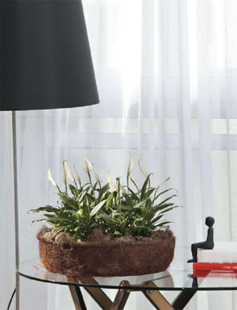 14- A pequena jardineira sobre a mesa de vidro tem mudas de mini L&iacute;rio da Paz. Fonte: Flor e Arte Decor