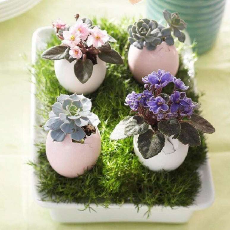 24- O Arranjo de mesa para Páscoa utiliza mudas de violetas e suculentas plantadas em cascas de ovo. Fonte: Blog: Claudiasa 70