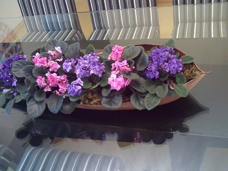 22- O arranjo da sala de jantar foi realizado com mudas de violetas dentro de folha seca. Fonte: Casa Com Decoração