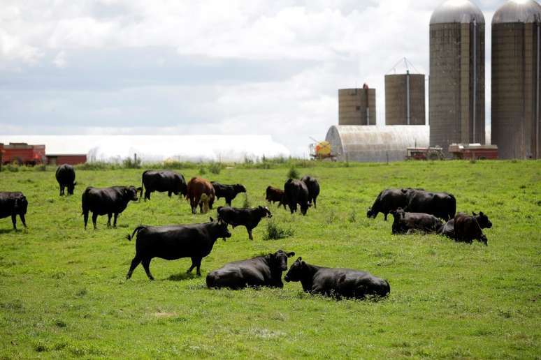 Criação de gado em Peosta, Iowa (EUA) 
26/07/2018
REUTERS/Joshua Lott