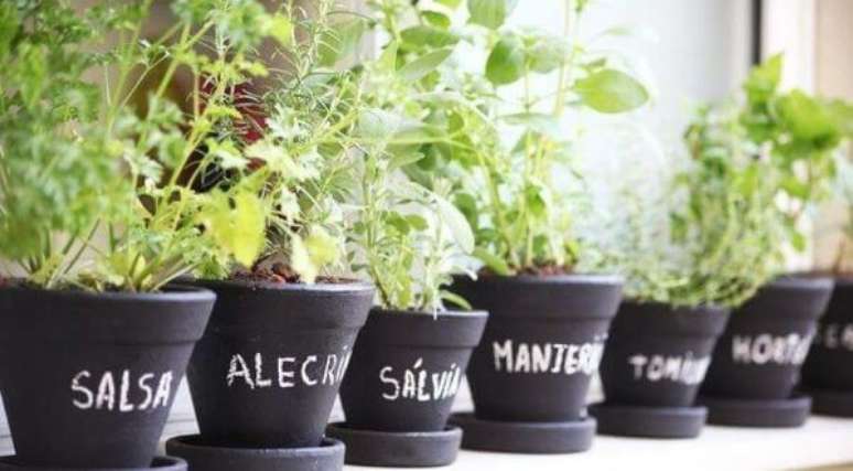 5. O que fazer na quarentena &ndash; Horta