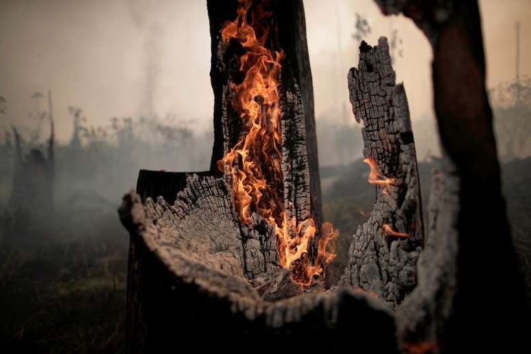 Tronco de árvore em chamas na Amazônia
23/08/2019
REUTERS/Ueslei Marcelino