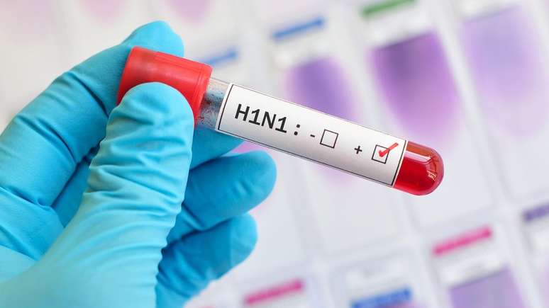A pandemia de H1N1 afetou mais de 200 países entre 2009 e 2010