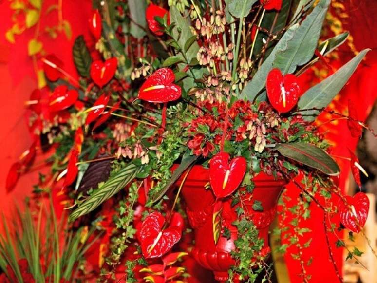 42. Flores tropicais como antúrios vermelhos são o destaque em uma coloração – Foto: Minhas plantas