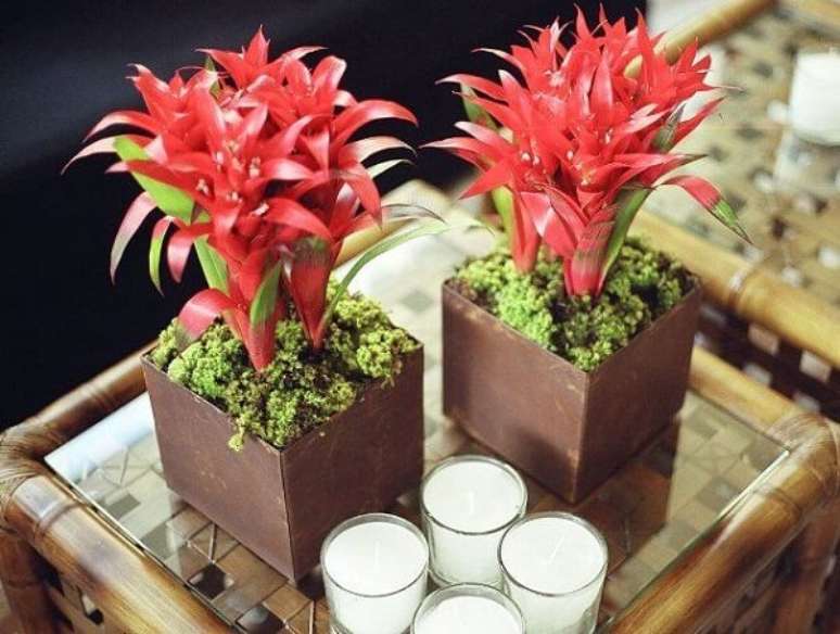 35. Flores tropicais como bromélias vermelhas são ótimas em arranjos – Foto: Via Pinterest