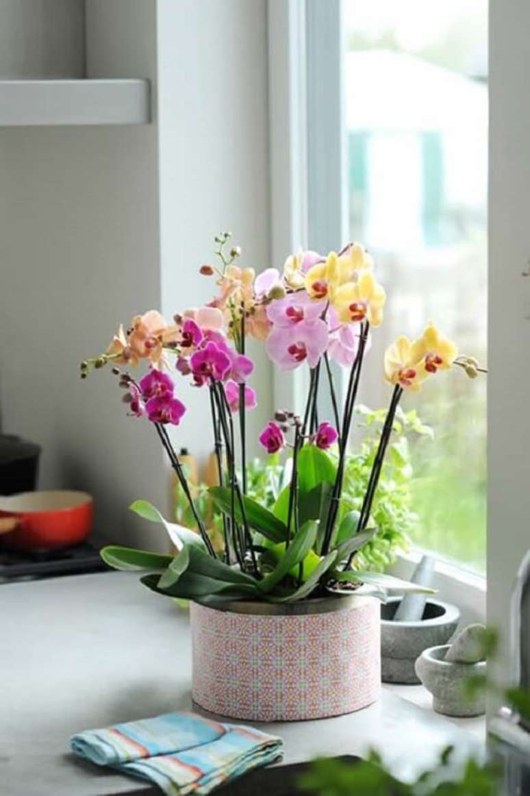 31. Flores tropicais como orquídeas ficam lindas em qualquer ambiente – Foto: Como fazer em casa
