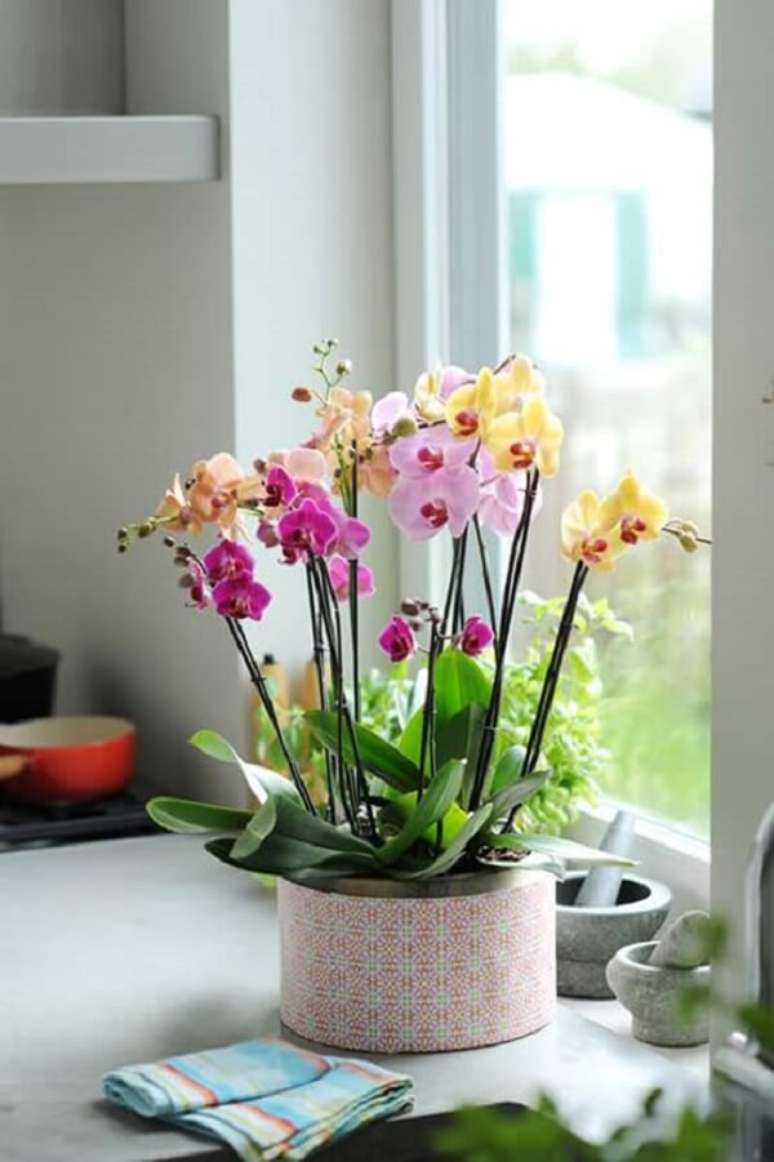 31. Flores tropicais como orqu&iacute;deas ficam lindas em qualquer ambiente &ndash; Foto: Como fazer em casa