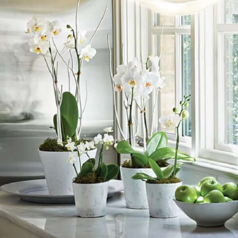 18. As flores tropicais como orquídeas possuem diferentes colorações – Foto: Como fazer em casa