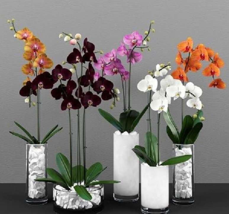 17. Orquídeas coloridas juntas formam uma bela decoração – Foto: Via Pinterest