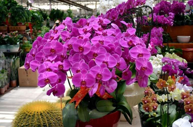 15. Flores tropicais com orquídeas roxas dão uma ótima pitada de cor em qualquer ambiente – Foto: Via Pinterest