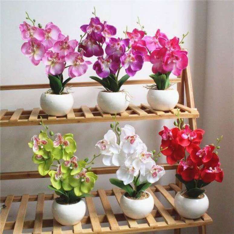 13. Orqu&iacute;deas e suas diversas colora&ccedil;&otilde;es formam um &oacute;timo jardim interno &ndash; Foto: Revista Viva Decora