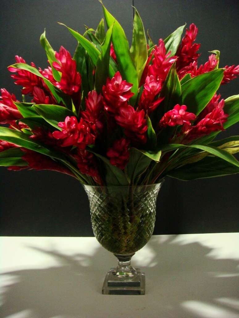 10. As flores tropicais de alpínias vermelhas tem muito estilo e personalidade – Foto: Via Pinterest