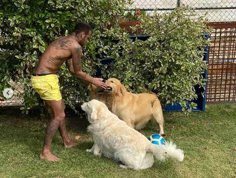 Neymar e seus três cães, Poker, Flush e Truco (Foto: Reprodução)