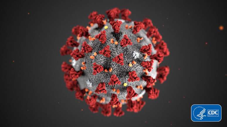 Essa é a aparência do coronavírus, de acordo com esta ilustração criada pelo Centro de Controle e Prevenção de Doenças dos Estados Unidos